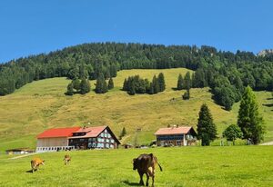 Ferienhof "Alpe Berg" – Haus Hedwig 1