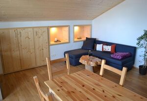 Straub / Ferienwohnung Allgäublume – Appartement/Fewo, Dusche und Bad, WC, neuwertig