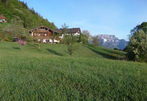 Lehnhäusl  Aschauer – Doppelzimmer Zinken, mit Dusche und WC, Balkon und Schlafcouch