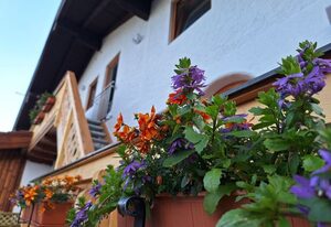 Haus Silbertann – Ferienwohnung 1-3 Pers.,2 separate Schlafzimmer, 2 Bäder, kombinierter Ess-Wohnbereich, Balkon
