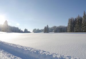 Alpenstern Finy, Bio-Gästehaus – Appartement 4 Edelsberg (M) 35 qm