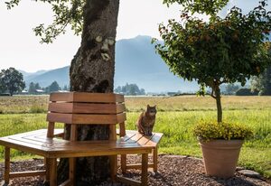 Ferienwohnungen Dankllehen – Nichtraucher-Ferienwohnung Jenner, 1-2 Personen, 30 qm, 1 Schlafzimmer, Wohnzimmer, Ost- und Südseitiger Balkon