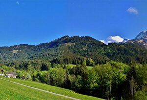 Haus Frechen – Ferienwohnung Nr.2, 30qm für 1-2 Personen