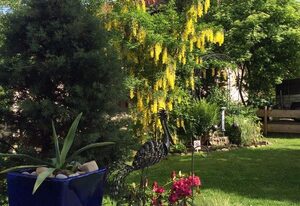 Ferienwohnung Enzian - Bergidyll – Enzian im Bergidyll