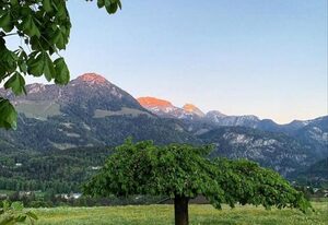 Pension Kohlhiasl – Standard Doppelzimmer