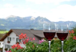 Ferienwohnungen Schöll – Ferienwohnung Kapplblick