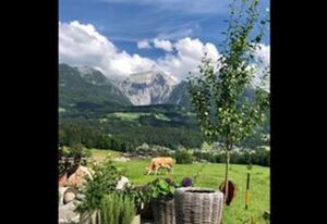 Ferienwohnung Max Hofreiter jun. – Ferienwohnung 1 bis 4 Personen, 50 qm, 2 Schlafzimmer, Balkon