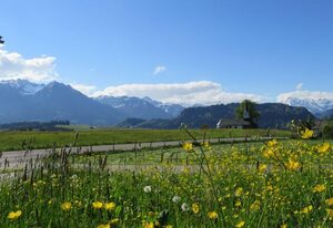 Kreuzangerhof – Ferienwohnung 3 Blick aufs Nebelhorn