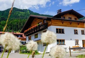 Landhaus Schädele – Ferienwohnung Trettach