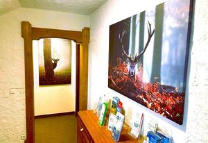 Haus Panoramablick – Ferienwohnung Rubihorn