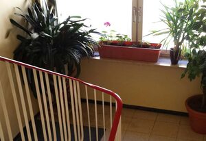 China-Ferienzimmer – Mehrbettzimmer II mit Gemeinschaftsbad ohne Frühstück