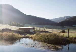 Almhof Lässer – Ferienwohnung Anemone