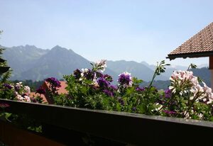 Landhaus Paradies – Ferienwohnung Schnee