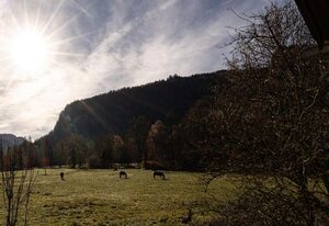 Artenreithof – Große FeWo mit Bergpanorama und 6 Betten