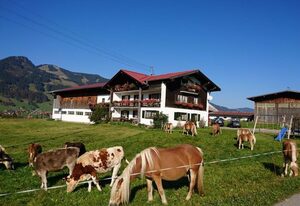 Haflinger Hof – Ferienwohnung