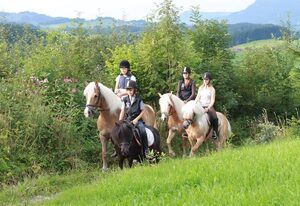 Haflinger Hof – Ferienwohnung