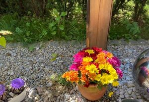 Ferienwohnung Alpenruhe