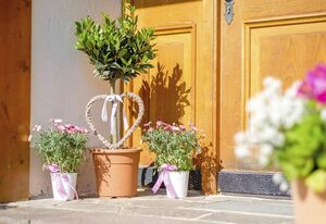 Gästehaus Mooswiese – Ferienwohnung 2 - 2 Schlafzimmer und Balkon