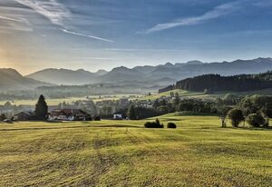 Alpe 44