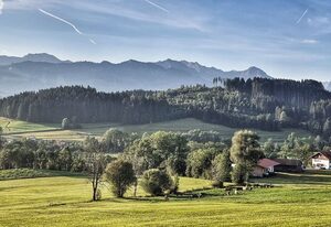 Alpe 44