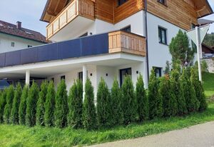Bergzauber Ofterschwang – Ferienwohnung Edelweiß