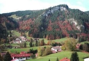 Falkenhorst Wh 19
