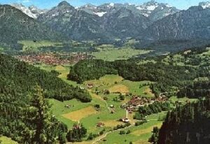 Falkenhorst Wh 19