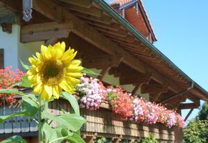 AlpenFerienLandhaus Müller – Ferienwohnung Mittagblick