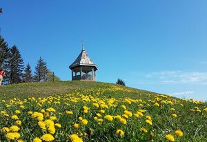 Ferienwohnungen Haus Vogl – Ferienwohnung Grüntenblick