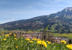 Ferienwohnungen Haus Vogl – Ferienwohnung Grüntenblick
