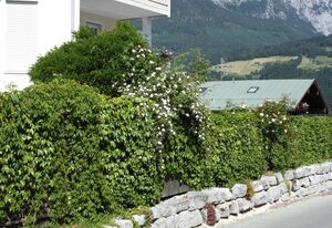 FeWo Bavaria – Ferienwohnung mit Terrasse für 2 Personen