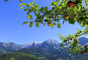 Ferienwohnung Unterartenreit – Ferienwohnung 2 mit 2 Schlafzimmern