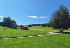 Traumplatz im Allgäu – Mein Traumblick