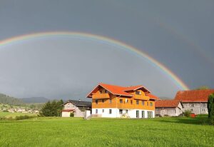 Hochgratblick Sinswang – Königsegg