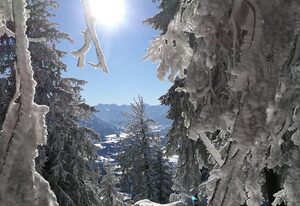 Ferienwohnungen Illertalblick – Appartement B