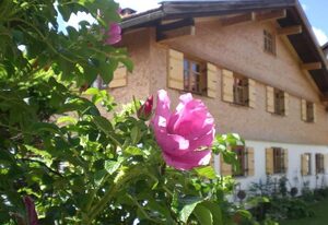 Ferienwohnung Landhaus Martin – Ferienwohnung Sonnenkopf