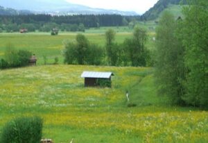 Baldauf Ulrike – Dummelsmoos mit Bergpanorama