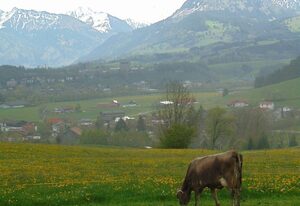Landhaus Kogel – Ferienwohnung 2 DG