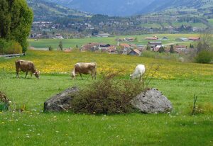 Landhaus Kogel – Ferienwohnung 2 DG