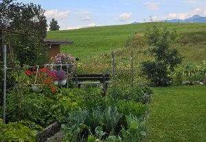 Ferienwohnung Riedbachgarten