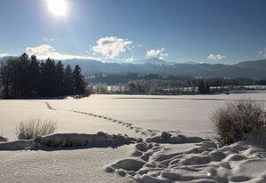 Ferienwohnung Rottachseeblick