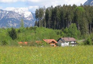 Haus Kranzusch – Dani