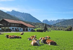 Fewo Beer – Ferienwohnung 65 qm, Wohn/Schlafraum getrennt, Balkon, Nichtraucher