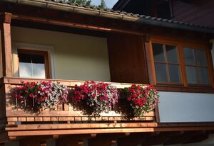 Ferienwohnung Haus Aschauer