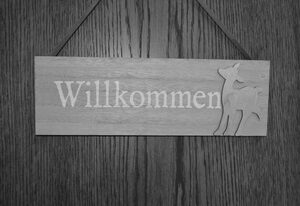 Ferienwohnung Haus Aschauer