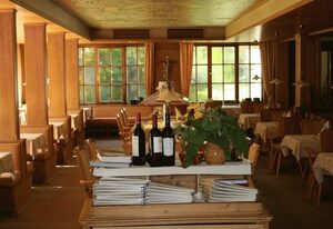 Kur- und Ferienhotel Traube – Einzelzimmer Balkon/Terrasse