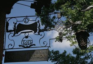 Kur- und Ferienhotel Traube – Einzelzimmer Balkon/Terrasse