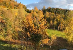 Alpchalet Staufner Quelle