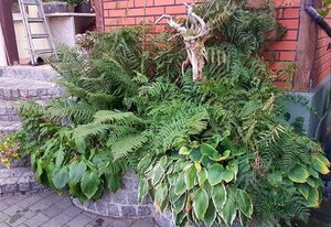 Ferienhaus mit Garten und eigenem Schwimmbad