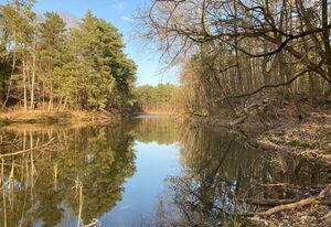 Bungalow im Wald am See - Biberspur